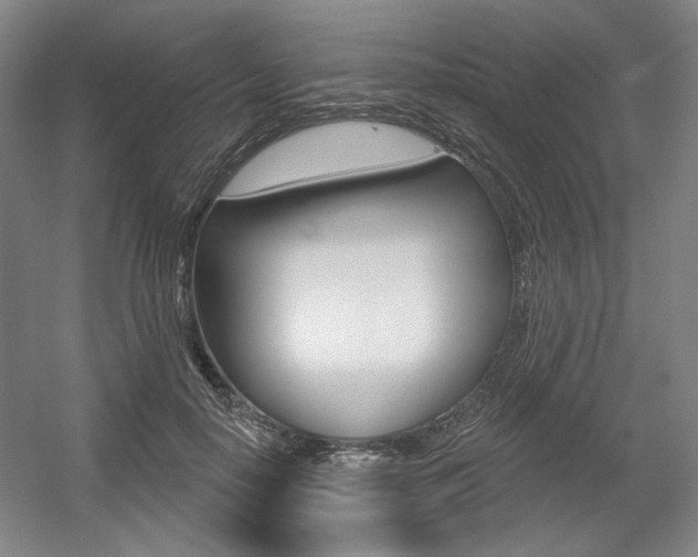 X0000056010650200508190855
