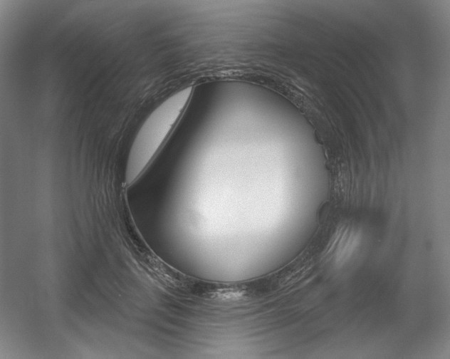 X0000056010651200508190855