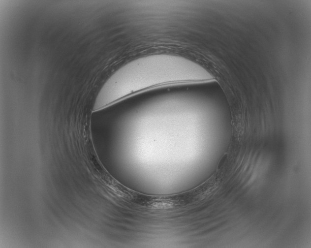 X0000056010653200508190855
