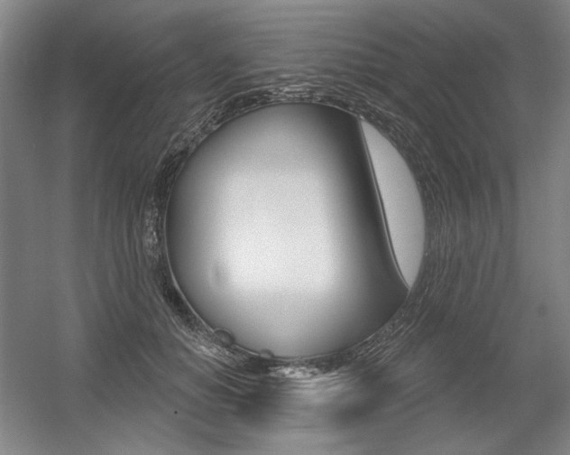 X0000056010654200508190855