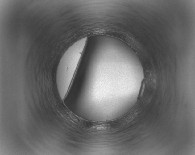 X0000056010655200508190855