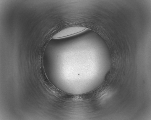 X0000056010656200508190855