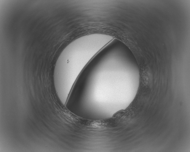 X0000056010657200508190855