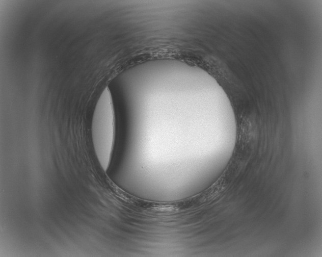 X0000056010659200508190855