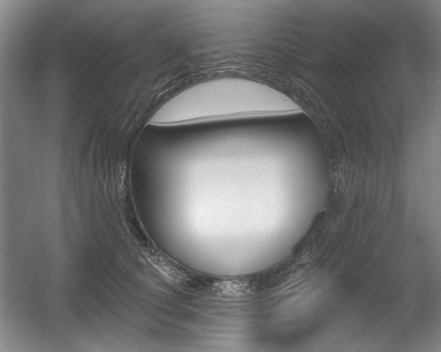 X0000056010660200508190855