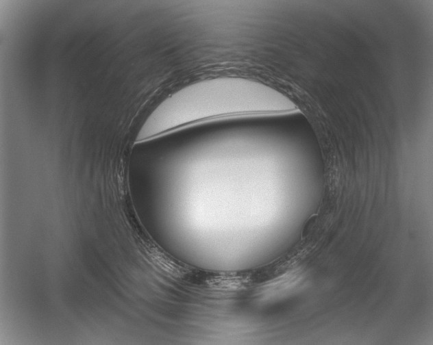 X0000056010661200508190855