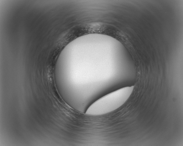 X0000056010663200508190855