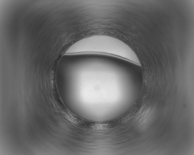 X0000056010664200508190855