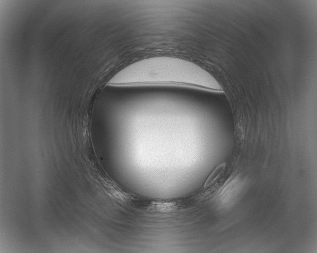 X0000056010665200508190855