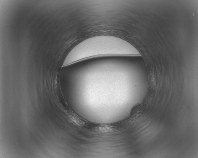 X0000056010668200508190855