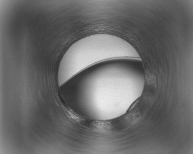 X0000056010670200508190855