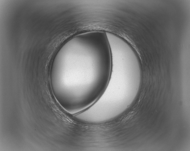 X0000056010673200508190855