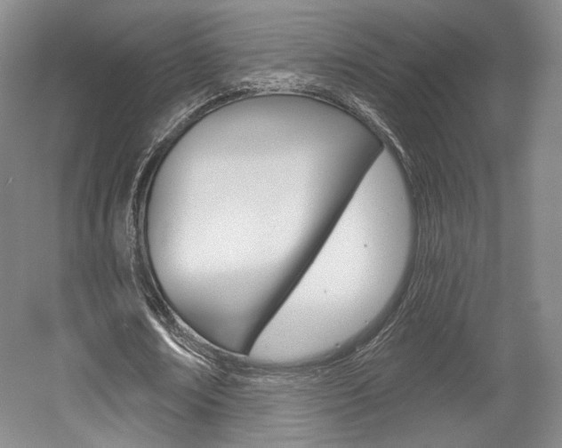 X0000056010674200508190855