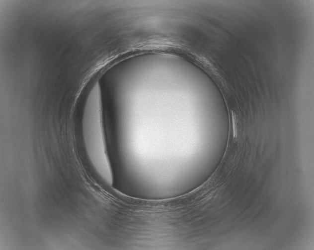 X0000056010675200508190855