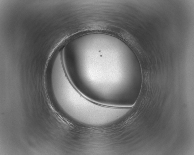 X0000056010676200508190855