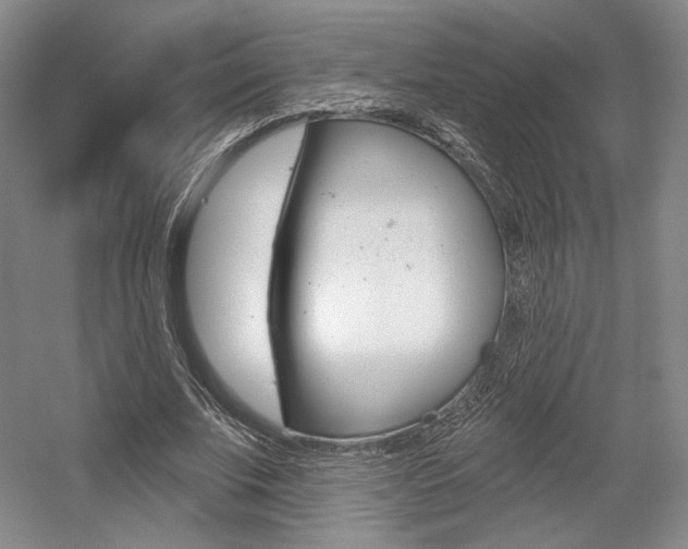X0000056010679200508190855