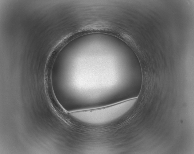 X0000056010680200508190855
