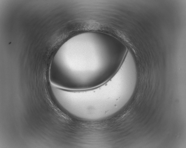 X0000056010681200508190854