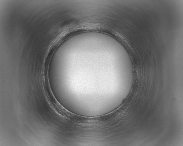 X0000056010682200508190854