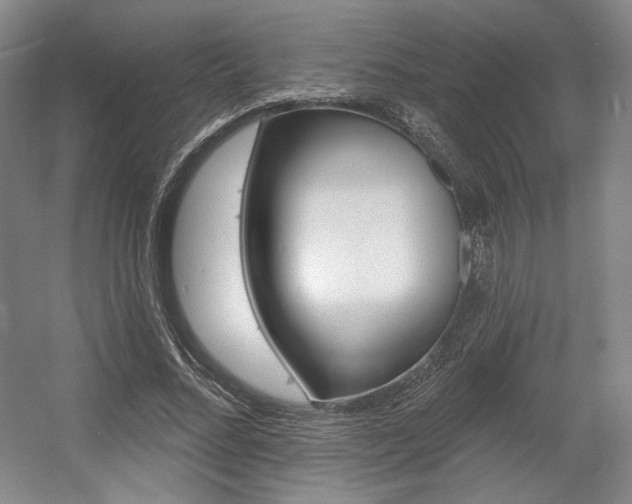 X0000056010684200508190854