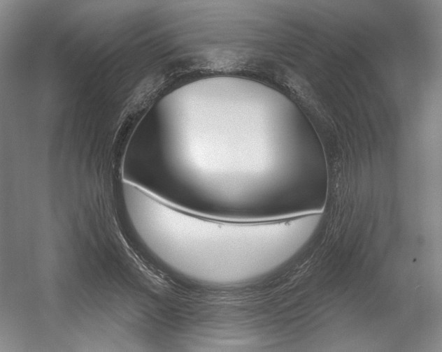 X0000056010685200508190854