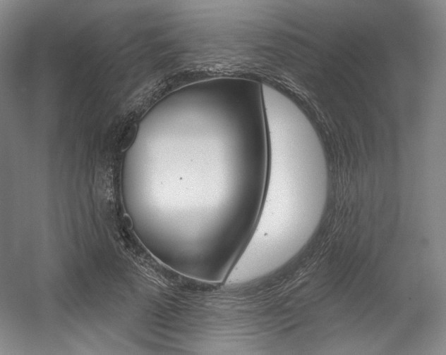 X0000056010689200508190854