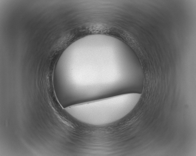 X0000056010690200508190854
