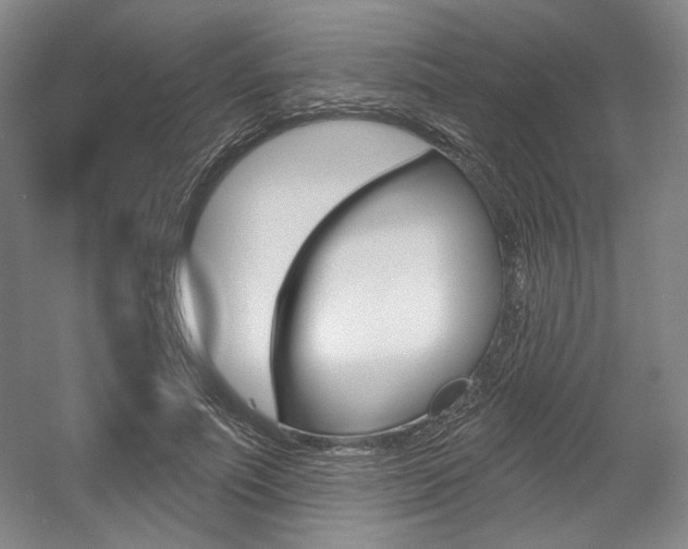 X0000056010691200508190854