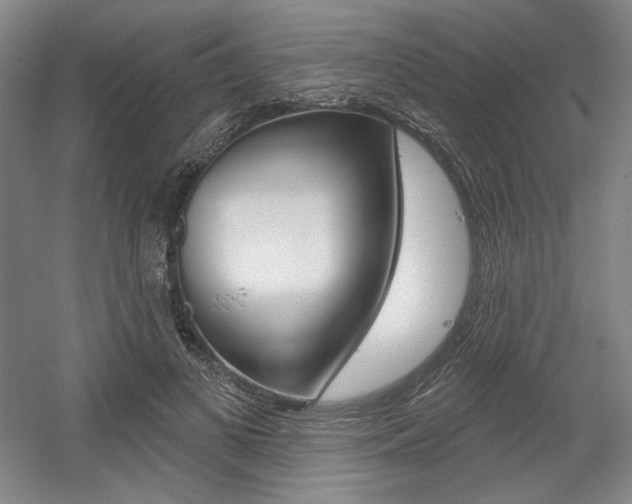 X0000056010693200508190854