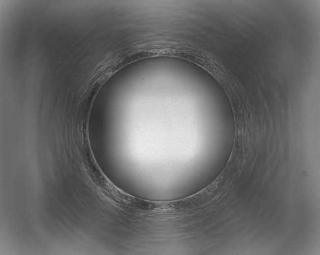X0000056010696200508190854