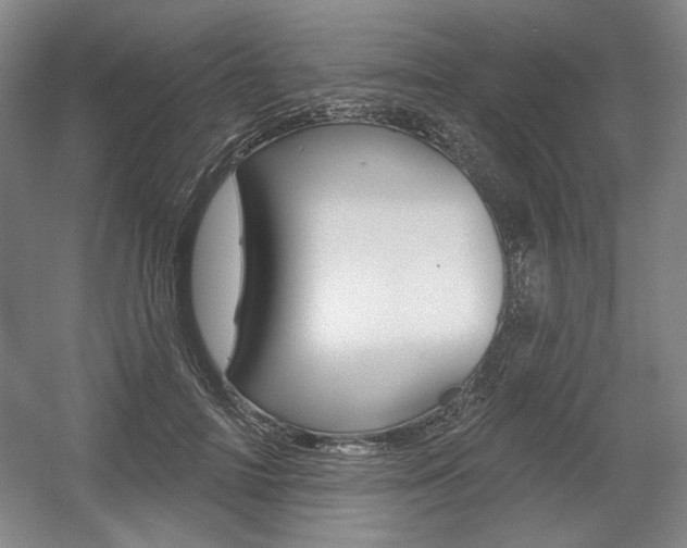 X0000056010698200508190854