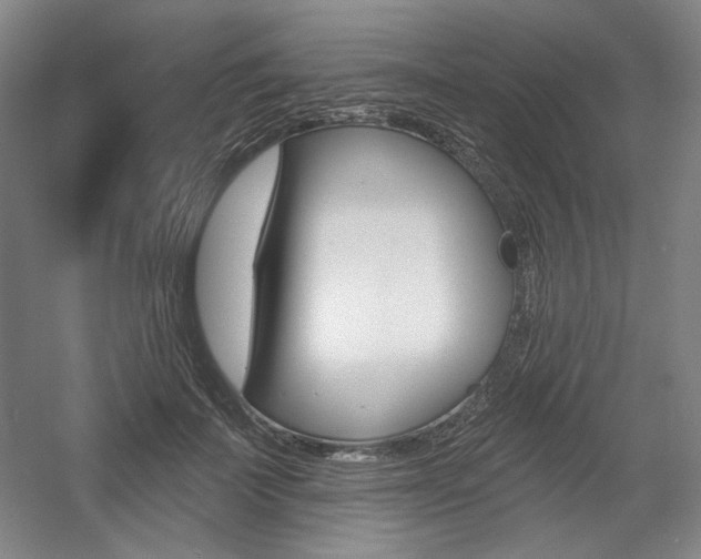 X0000056010699200508190854