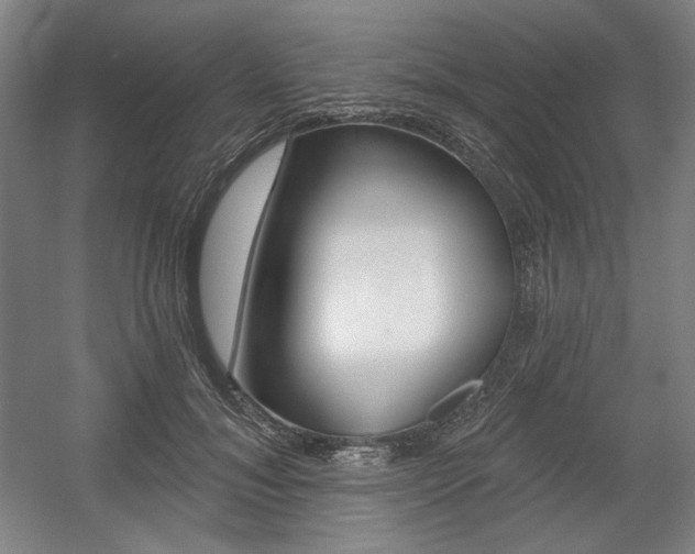 X0000056010700200508190854
