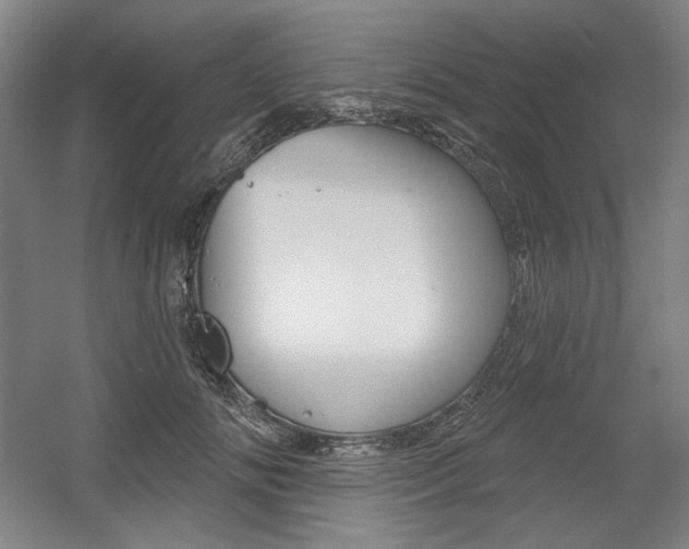 X0000056010702200508190854