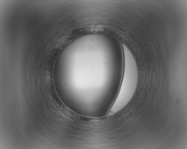 X0000056010704200508190854