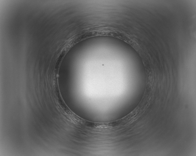X0000056010708200508190854