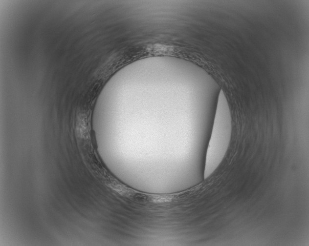 X0000056010709200508190854