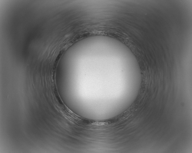 X0000056010711200508190854