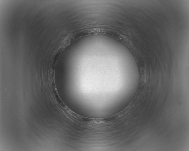 X0000056010712200508190854