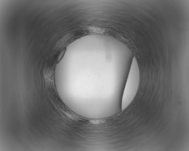 X0000056010713200508190854