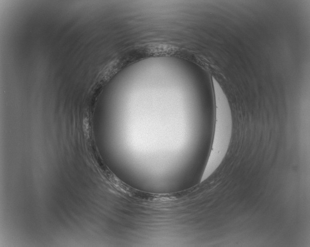 X0000056010716200508190854