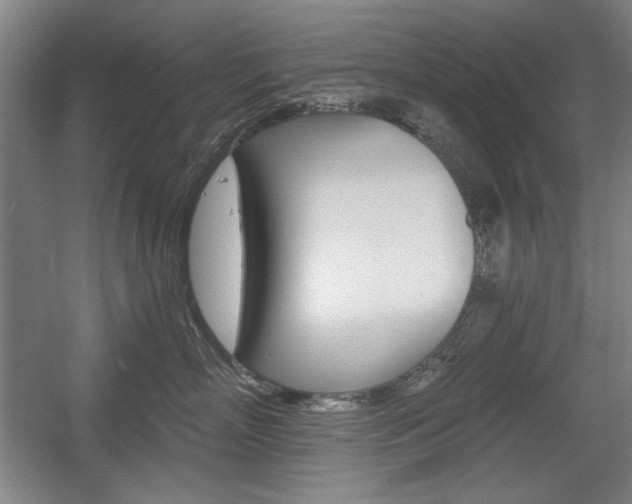 X0000056010718200508190854