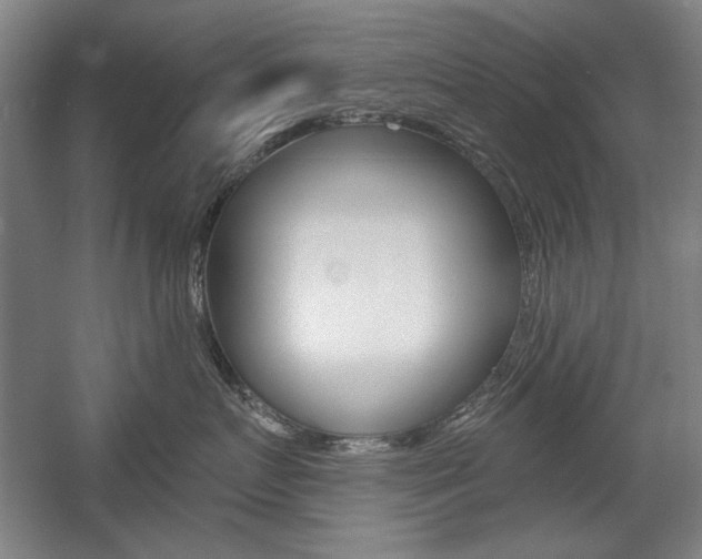 X0000056010719200508190854