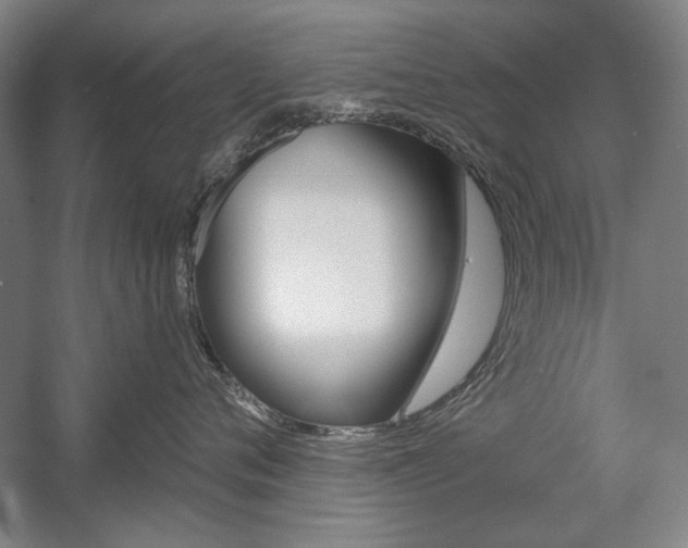 X0000056010720200508190854