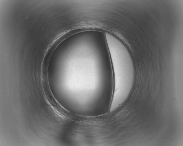 X0000056010722200508190853