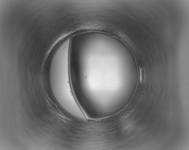 X0000056010723200508190853