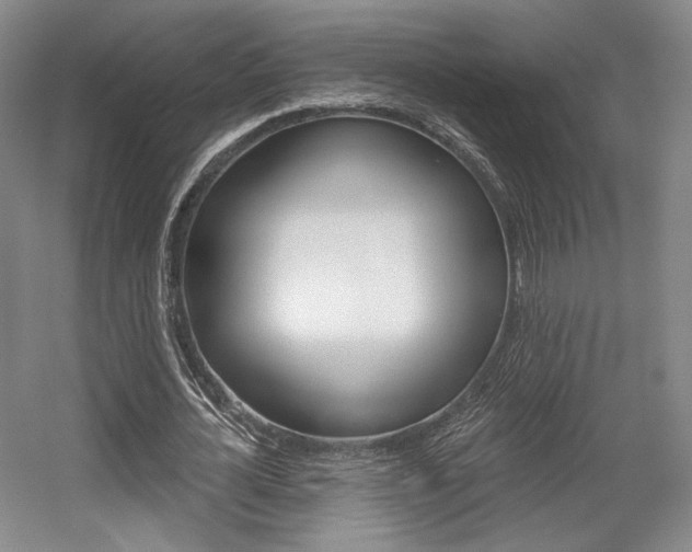 X0000056010724200508190853