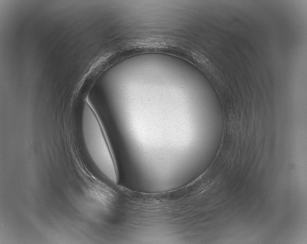 X0000056010731200508190853
