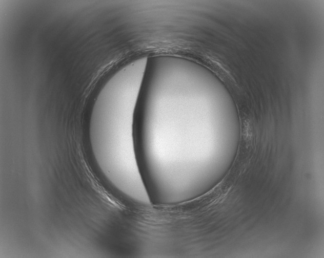 X0000056010733200508190853