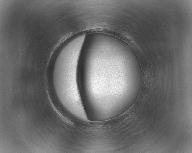 X0000056010734200508190853